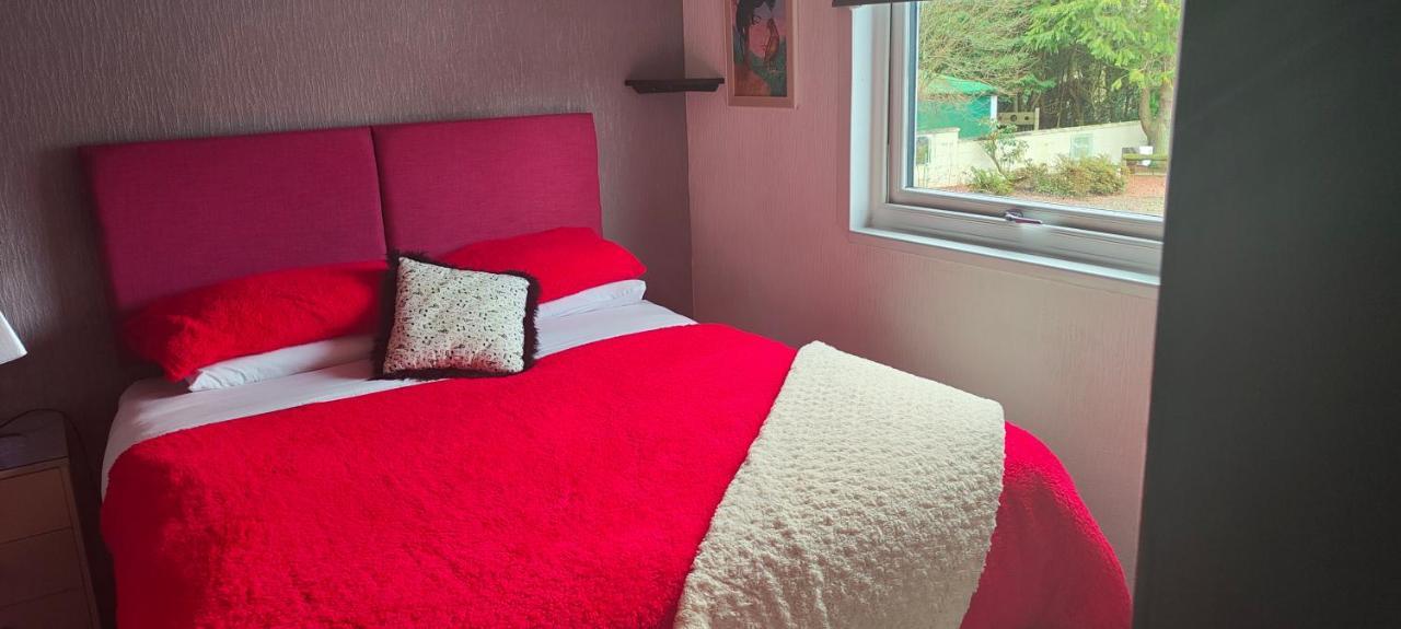 The Cabin Quiet Relaxing And Dog Friendly Mauchline Exteriér fotografie